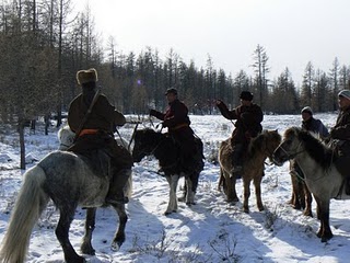 Où est le loup ? - chasse près du lac de Khögöl, Mongolie